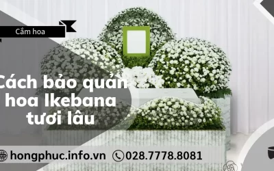 3 Bí Quyết – Cách Bảo Quản Hoa Ikebana Tươi Lâu Hơn Trong Tang Lễ