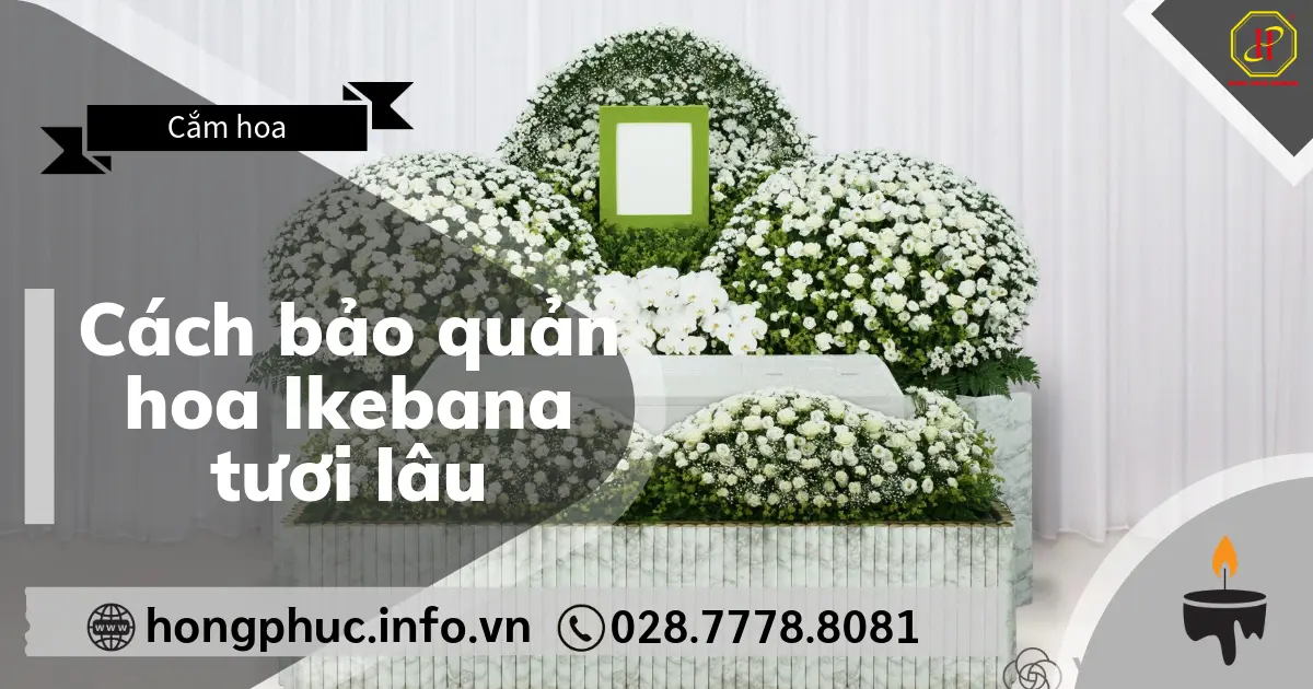 Cách bảo quản hoa Ikebana tươi lâu