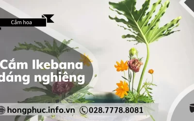 Hướng Dẫn Cắm Ikebana Dáng Nghiêng (Nageire): Vẻ Đẹp Mềm Mại