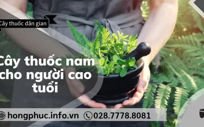 Cây Thuốc Nam Cho Người Cao Tuổi