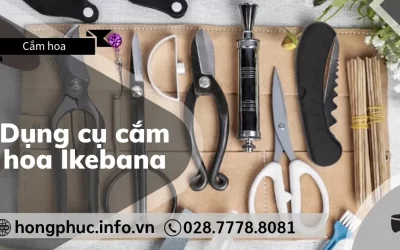 3 Dụng Cụ Cắm Hoa Ikebana Cần Phải Có Cho Người Mới Bắt Đầu