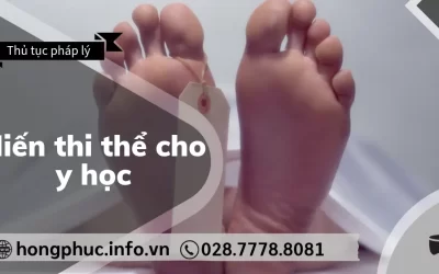 Hiến Thi Thể Cho Y Học: Ý Nghĩa Cao Đẹp và Thủ Tục Đăng Ký Từ A-Z