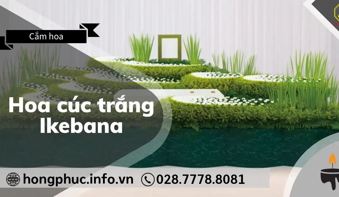 Hoa Cúc Trắng Ikebana: Biểu Tượng Tối Cao Của Sự Tôn Kính