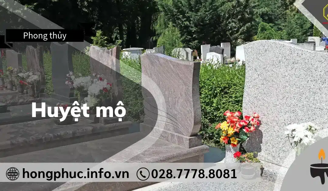 Huyệt Mộ Phong Thủy Là Gì? 5 Dấu Hiệu Nhận Biết Huyệt Kết Phát