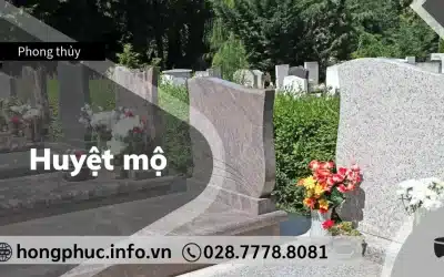 Huyệt Mộ Phong Thủy Là Gì? 5 Dấu Hiệu Nhận Biết Huyệt Kết Phát