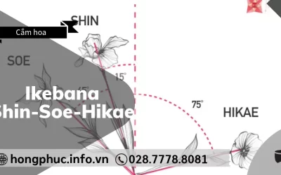 Ikebana Shin-Soe-Hikae: Nguyên Tắc Thiên Địa Nhân Trong Tang Lễ
