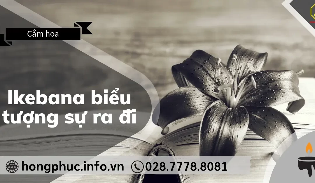 Ikebana Biểu Tượng Sự Ra Đi Thanh Thản Trong Nỗi Đau Mất Mát