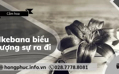 Ikebana Biểu Tượng Sự Ra Đi Thanh Thản Trong Nỗi Đau Mất Mát