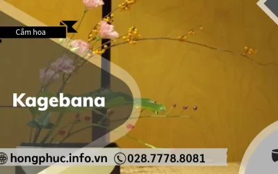 Kagebana và Vòng Hoa Việt Nam: So Sánh Hoa Tang Lễ Việt – Nhật