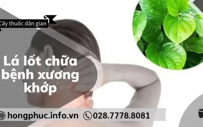 Lá Lốt Chữa Bệnh Xương Khớp: 5 Bài Thuốc Đơn Giản, Hiệu Quả Tại Nhà