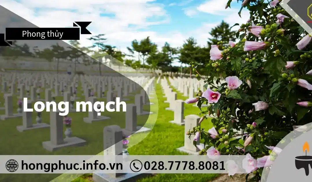 Long Mạch Là Gì? 3 Cách Tìm Long Mạch Chuẩn Phong Thủy