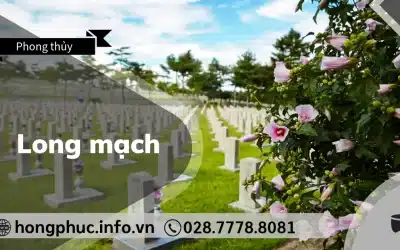Long Mạch Là Gì? 3 Cách Tìm Long Mạch Chuẩn Phong Thủy
