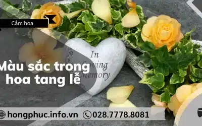 Màu Sắc Trong Hoa Tang Lễ: Ý Nghĩa Của Màu Trắng, Vàng, Tím