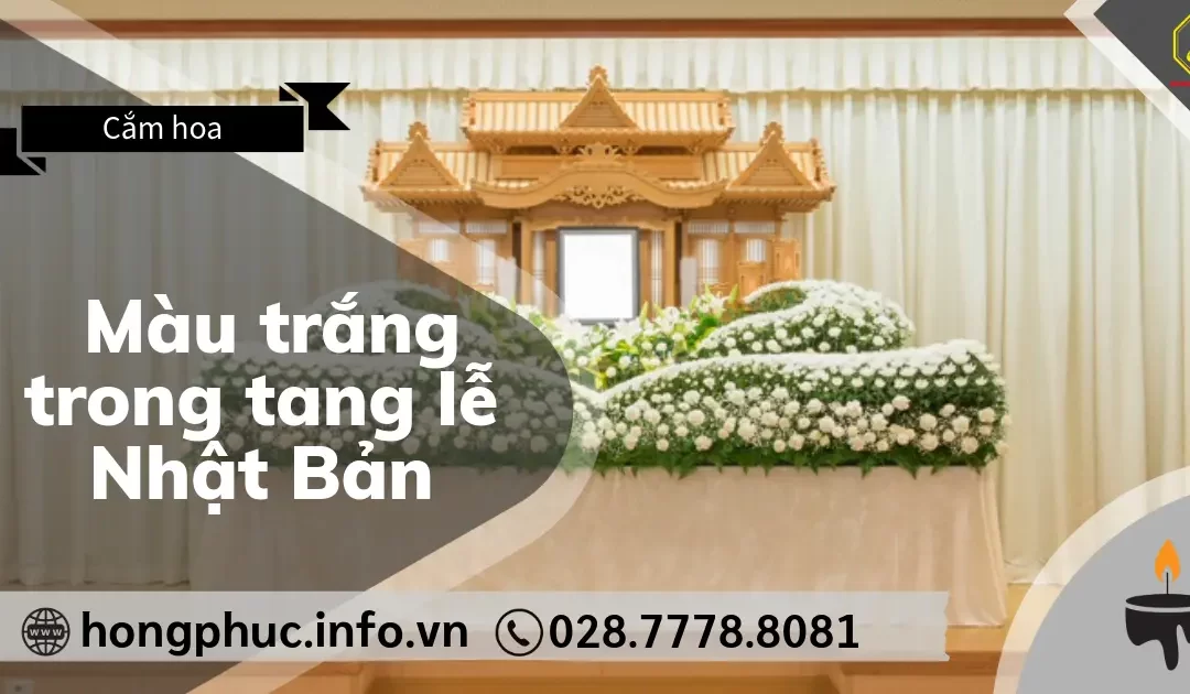 Màu Trắng Trong Tang Lễ Nhật Bản: Biểu Tượng Của Sự Tinh Khiết