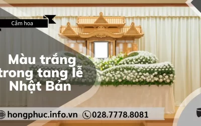Màu Trắng Trong Tang Lễ Nhật Bản: Biểu Tượng Của Sự Tinh Khiết
