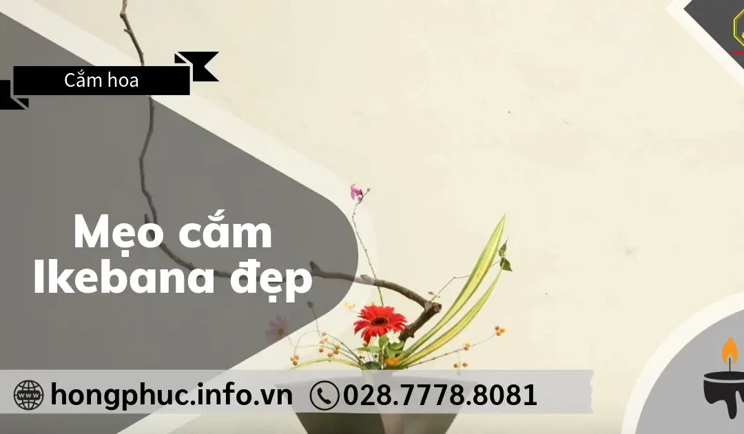 5 Mẹo Cắm Ikebana Đẹp Để “Gỡ Rối” Cho Người Mới Bắt Đầu