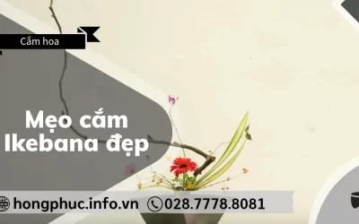 5 Mẹo Cắm Ikebana Đẹp Để “Gỡ Rối” Cho Người Mới Bắt Đầu