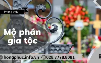 Mộ Phần Gia Tộc: 5 Nguyên Tắc Quy Hoạch Hợp Phong Thủy Và Gắn Kết