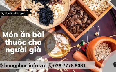 Món Ăn Bài Thuốc Cho Người Già