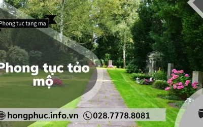 Phong Tục Tảo Mộ: Ý Nghĩa Lễ Thanh Minh và Văn Khấn Tổ Tiên