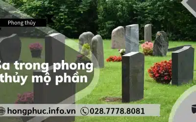 Sa Trong Phong Thủy Mộ Phần: Vai Trò Của Thế “Sa” Bảo Vệ Huyệt Mộ