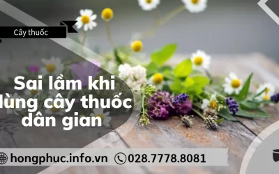 5 Sai Lầm Khi Dùng Thuốc Nam Cho Người Già Cần Tuyệt Đối Tránh