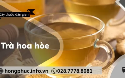 Trà Hoa Hòe: “Bí Quyết Vàng” Ổn Định Huyết Áp Cho Người Cao Tuổi