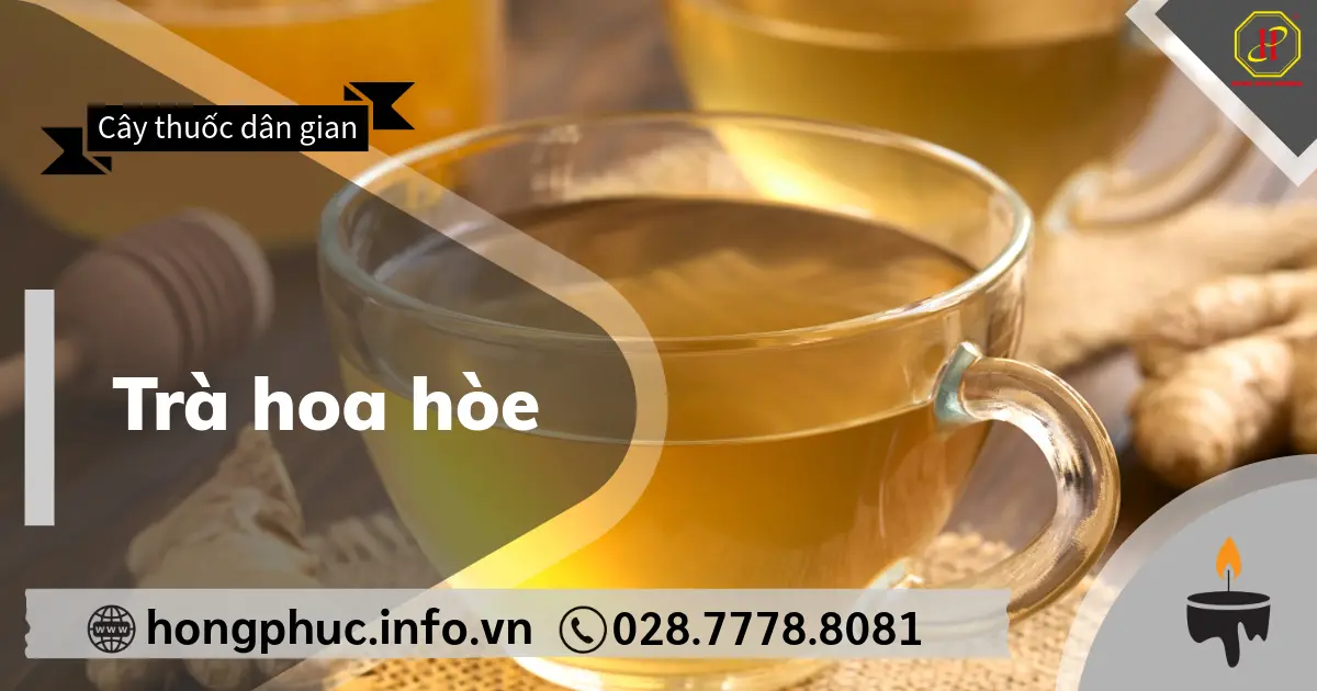 Trà hoa hòe