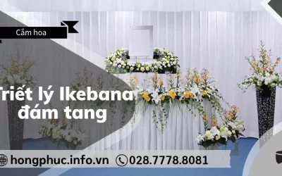 Triết Lý Ikebana Đám Tang: Ứng Dụng Nghệ Thuật Cắm Hoa Chia Buồn Tại Việt Nam