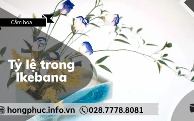 Tỷ Lệ Vàng Trong Ikebana: Bí Quyết Tạo Sự Cân Đối Hoàn Hảo
