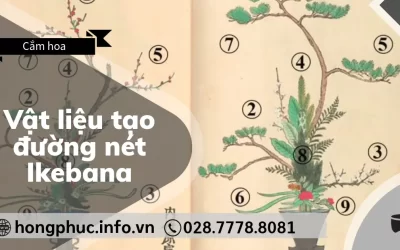 Vật Liệu Tạo Đường Nét Ikebana: Linh Hồn Từ Cành Khô và Lá Xanh