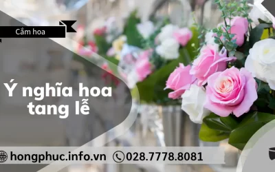 Ý Nghĩa Hoa Tang Lễ: Giải Mã Thông Điệp Của Hoa Cúc, Huệ, Lan, Ly