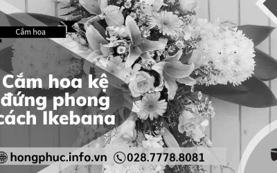 Hướng Dẫn Cắm Hoa Kệ Đứng Phong Cách Ikebana Tối Giản Từ A-Z