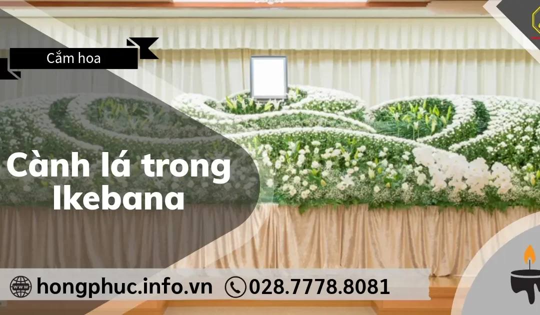 Vai Trò Của Cành Lá Trong Ikebana: Linh Hồn Của Tác Phẩm Tang Lễ