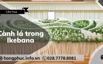 Vai Trò Của Cành Lá Trong Ikebana: Linh Hồn Của Tác Phẩm Tang Lễ
