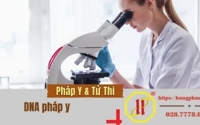 DNA Pháp Y: Dấu Vân Tay Di Truyền Trong Nhận Dạng