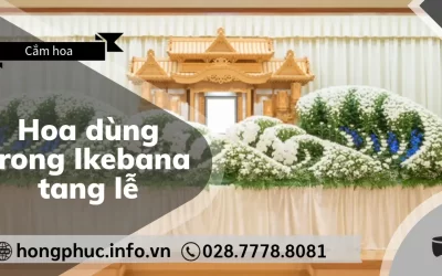 4 Loại Hoa Dùng Trong Ikebana Tang Lễ và Ý Nghĩa Biểu Tượng