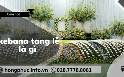 Ikebana Tang Lễ Là Gì? Nghệ Thuật Của Sự Tưởng Nhớ & Thanh Tịnh