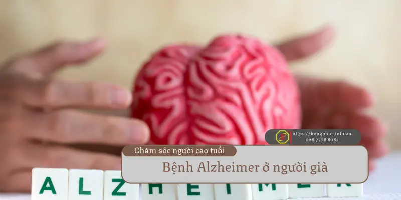 benh alzheimer o nguoi gia benh alzheimer o nguoi gia