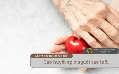 Cao Huyết Áp Ở Người Cao Tuổi: Hướng Dẫn Chăm Sóc