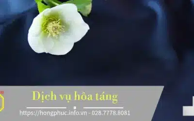 Dịch vụ hỏa táng trọn gói uy tín, giá hợp lý.