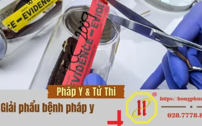 Giải Phẫu Bệnh Pháp Y: “Tiếng Nói” Từ Người Đã Khuất