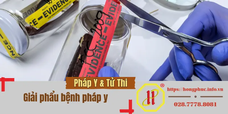 giai phau benh phap y