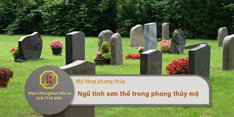 ngũ tinh sơn thể