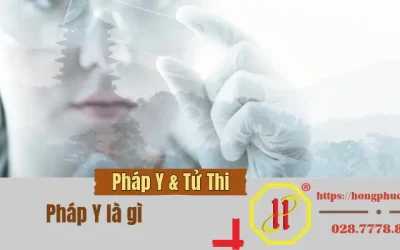 Pháp Y Là Gì? Giải Mã Y Học Tư Pháp