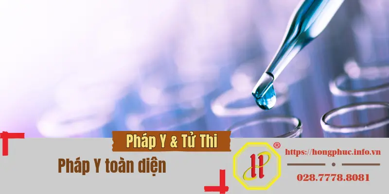 phap y toan dien phap y toan dien