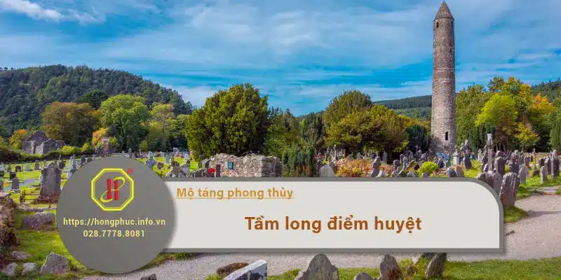 tâm long điểm huyệt