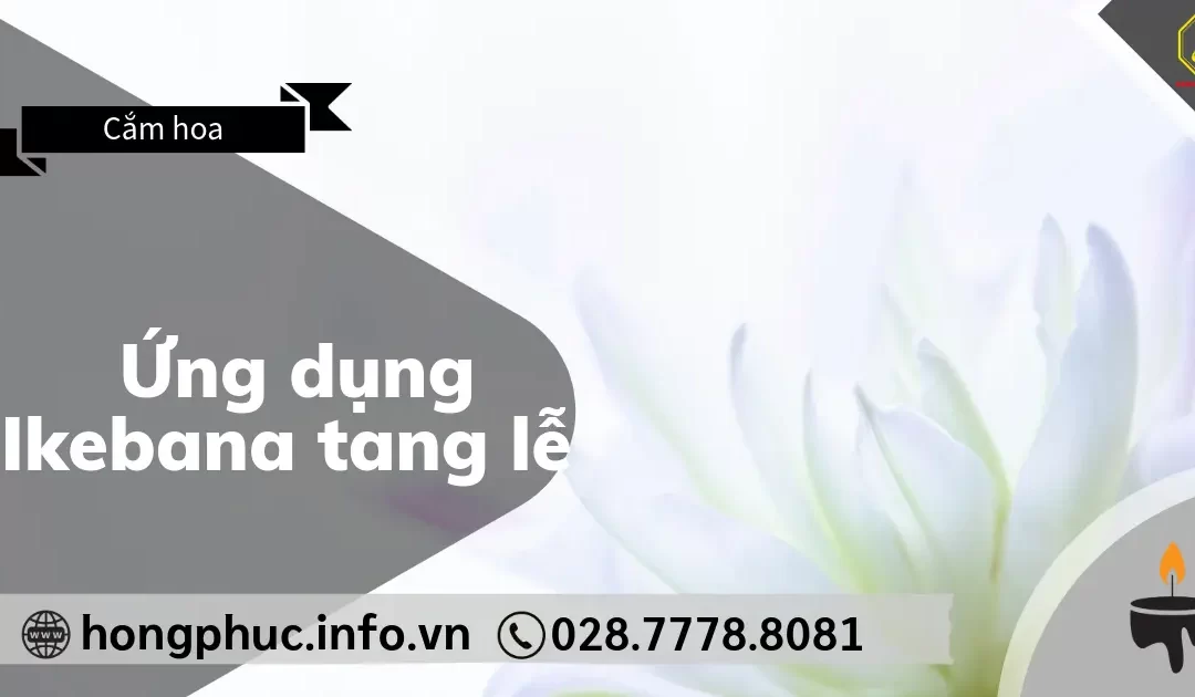 Ứng Dụng Ikebana Tang Lễ: Vẻ Đẹp Vượt Qua Mọi Giới Hạn Văn Hóa