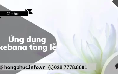 Ứng Dụng Ikebana Tang Lễ: Vẻ Đẹp Vượt Qua Mọi Giới Hạn Văn Hóa